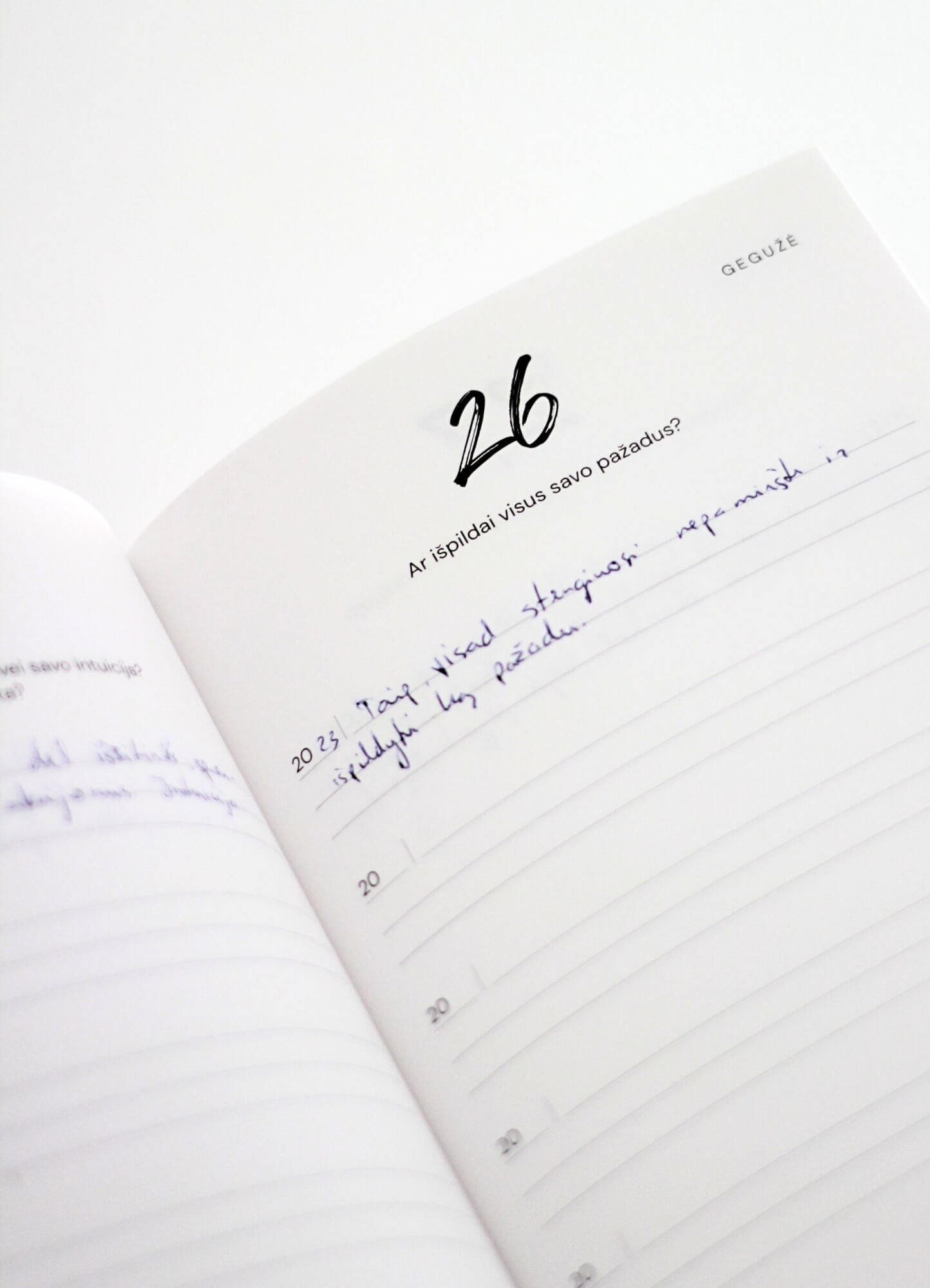 5 metų dienoraštis | Asmeninis